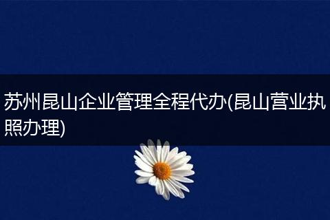 蘇州昆山企業(yè)管理全程代辦(昆山營業(yè)執(zhí)照辦理)
