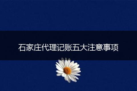 石家莊代理記賬五大注意事項(xiàng)