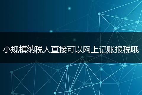 小規(guī)模納稅人直接可以網(wǎng)上記賬報稅哦