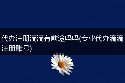 代辦注冊滴滴有前途嗎嗎(專業(yè)代辦滴滴注冊賬號)