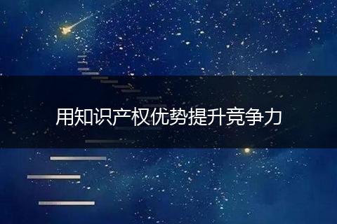 用知識產(chǎn)權(quán)優(yōu)勢提升競爭力