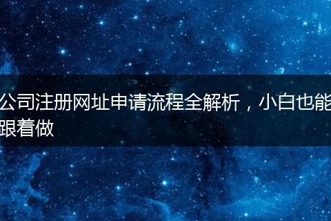 公司注冊網(wǎng)址申請流程全解析，小白也能跟著做