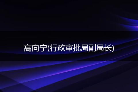 高向寧(行政審批局副局長)