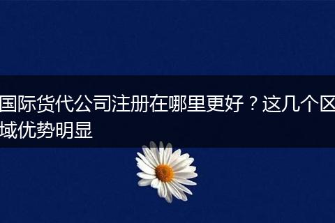 國(guó)際貨代公司注冊(cè)在哪里更好？這幾個(gè)區(qū)域優(yōu)勢(shì)明顯