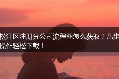 松江區(qū)注冊分公司流程圖怎么獲??？幾步操作輕松下載！