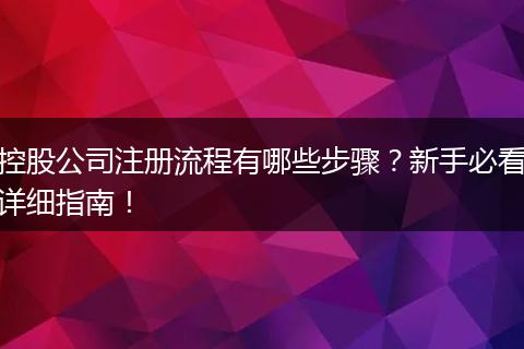 控股公司注冊流程有哪些步驟？新手必看詳細(xì)指南！