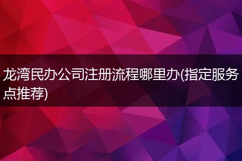龍灣民辦公司注冊(cè)流程哪里辦(指定服務(wù)點(diǎn)推薦)