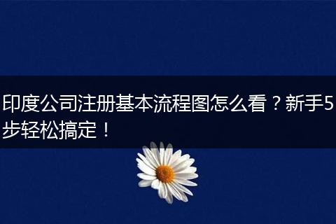 印度公司注冊(cè)基本流程圖怎么看？新手5步輕松搞定！