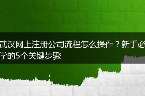 武漢網(wǎng)上注冊公司流程怎么操作？新手必學的5個關(guān)鍵步驟