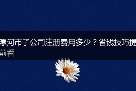 漯河市子公司注冊(cè)費(fèi)用多少?省錢技巧提前看