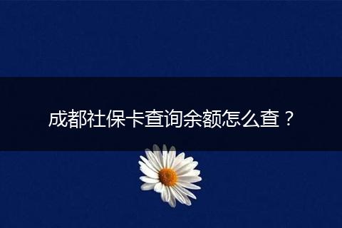 成都社?？ú樵冇囝~怎么查？