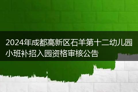 2024年成都高新區(qū)石羊第十二幼兒園小班補(bǔ)招入園資格審核公告