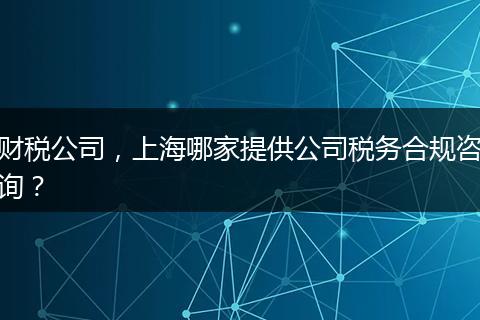 財稅公司，上海哪家提供公司稅務(wù)合規(guī)咨詢？