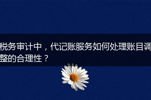 稅務審計中，代記賬服務如何處理賬目調(diào)整的合理性？