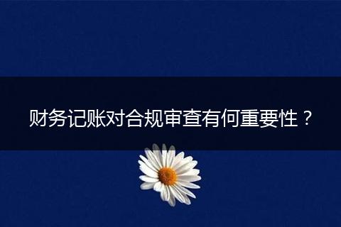 財務(wù)記賬對合規(guī)審查有何重要性？