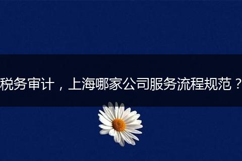 稅務審計，上海哪家公司服務流程規(guī)范？