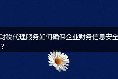 財(cái)稅代理服務(wù)如何確保企業(yè)財(cái)務(wù)信息安全？