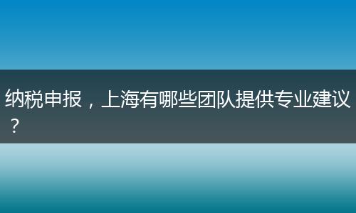 納稅申報(bào)，上海有哪些團(tuán)隊(duì)提供專業(yè)建議？
