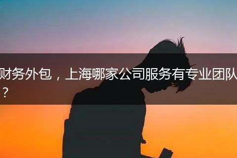財(cái)務(wù)外包，上海哪家公司服務(wù)有專業(yè)團(tuán)隊(duì)？