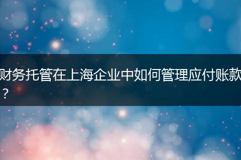 財務(wù)托管在上海企業(yè)中如何管理應(yīng)付賬款？