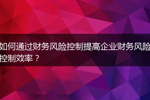 如何通過財務風險控制提高企業(yè)財務風險控制效率？