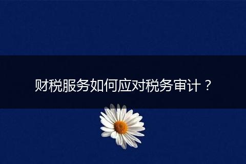財稅服務如何應對稅務審計？
