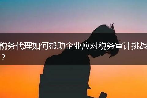 稅務(wù)代理如何幫助企業(yè)應(yīng)對(duì)稅務(wù)審計(jì)挑戰(zhàn)？
