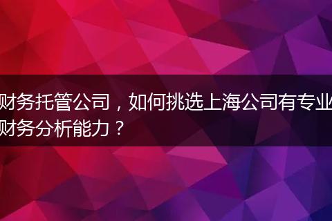 財(cái)務(wù)托管公司，如何挑選上海公司有專業(yè)財(cái)務(wù)分析能力？