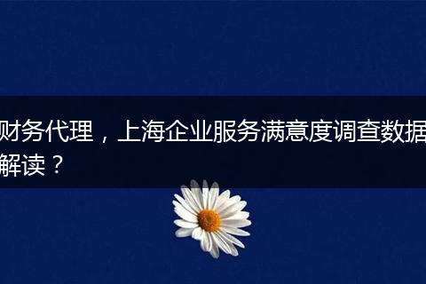財務(wù)代理，上海企業(yè)服務(wù)滿意度調(diào)查數(shù)據(jù)解讀？