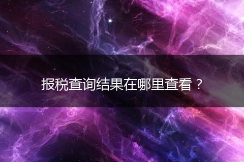 報(bào)稅查詢結(jié)果在哪里查看？