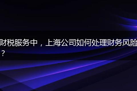 財稅服務(wù)中，上海公司如何處理財務(wù)風(fēng)險？