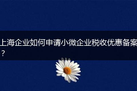 上海企業(yè)如何申請小微企業(yè)稅收優(yōu)惠備案？