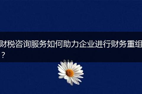 財(cái)稅咨詢服務(wù)如何助力企業(yè)進(jìn)行財(cái)務(wù)重組？