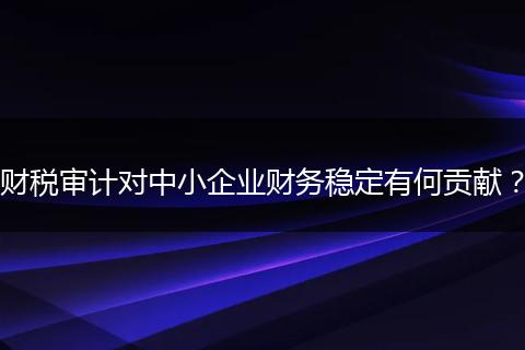 財(cái)稅審計(jì)對(duì)中小企業(yè)財(cái)務(wù)穩(wěn)定有何貢獻(xiàn)？