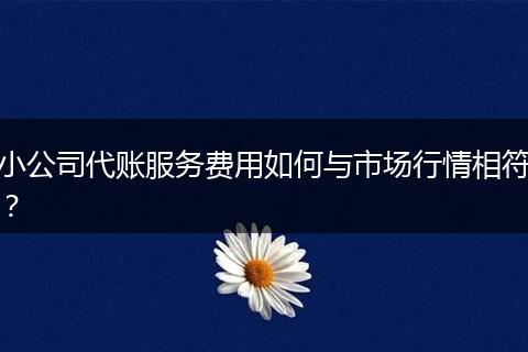 小公司代賬服務(wù)費(fèi)用如何與市場(chǎng)行情相符？