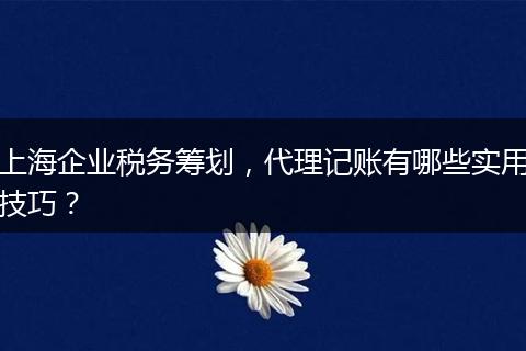 上海企業(yè)稅務(wù)籌劃，代理記賬有哪些實(shí)用技巧？