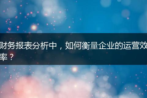 財(cái)務(wù)報(bào)表分析中，如何衡量企業(yè)的運(yùn)營效率？