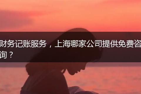財務記賬服務，上海哪家公司提供免費咨詢？