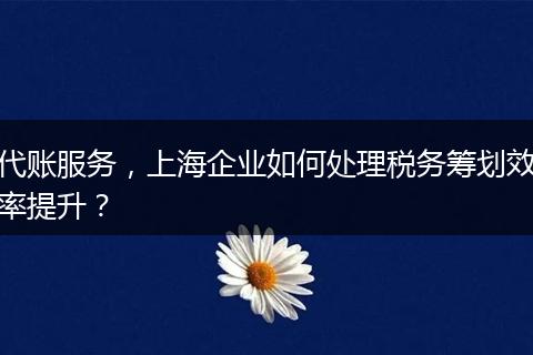 代賬服務，上海企業(yè)如何處理稅務籌劃效率提升？