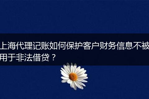上海代理記賬如何保護客戶財務信息不被用于非法借貸？