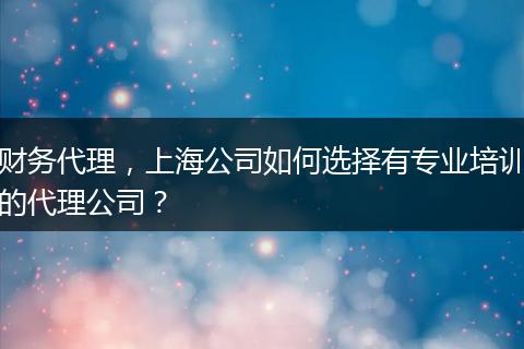 財(cái)務(wù)代理，上海公司如何選擇有專業(yè)培訓(xùn)的代理公司？