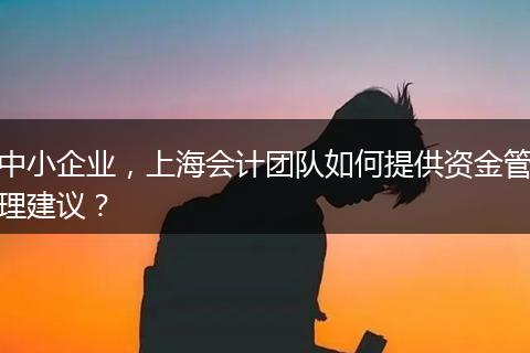 中小企業(yè)，上海會計(jì)團(tuán)隊(duì)如何提供資金管理建議？