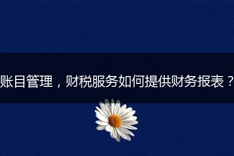賬目管理，財稅服務如何提供財務報表？