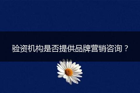 驗(yàn)資機(jī)構(gòu)是否提供品牌營(yíng)銷咨詢？