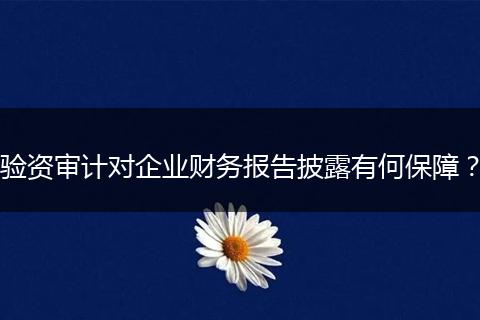 驗資審計對企業(yè)財務(wù)報告披露有何保障？