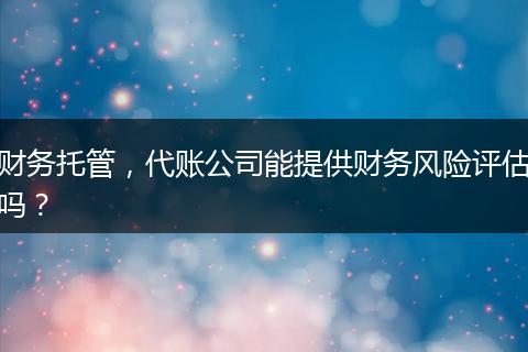 財(cái)務(wù)托管，代賬公司能提供財(cái)務(wù)風(fēng)險(xiǎn)評(píng)估嗎？