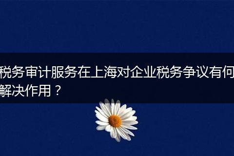 稅務(wù)審計(jì)服務(wù)在上海對(duì)企業(yè)稅務(wù)爭(zhēng)議有何解決作用？