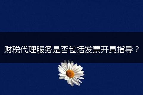 財(cái)稅代理服務(wù)是否包括發(fā)票開具指導(dǎo)？