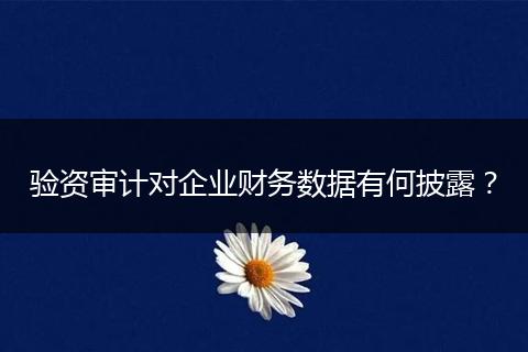 驗(yàn)資審計(jì)對(duì)企業(yè)財(cái)務(wù)數(shù)據(jù)有何披露？