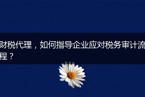 財(cái)稅代理，如何指導(dǎo)企業(yè)應(yīng)對(duì)稅務(wù)審計(jì)流程？